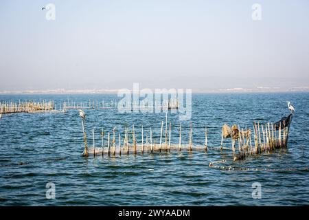 Filets de pêcheurs dans le lac Albufera à Valence, Espagne Banque D'Images