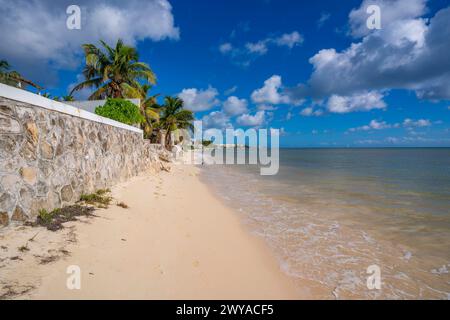 Vue de la plage près de Puerto Morelos, Côte des Caraïbes, péninsule du Yucatan, Mexique, Amérique du Nord Copyright : FrankxFell 844-32719 Banque D'Images