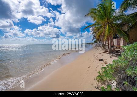 Vue de la plage près de Puerto Morelos, Côte des Caraïbes, péninsule du Yucatan, Mexique, Amérique du Nord Copyright : FrankxFell 844-32715 Banque D'Images