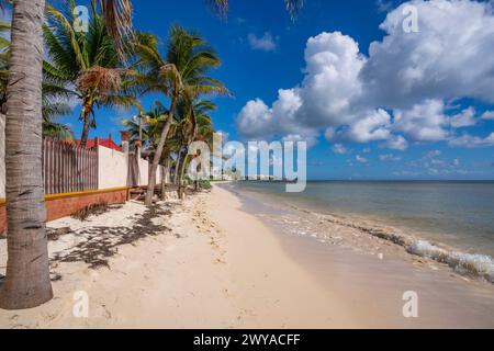 Vue de la plage près de Puerto Morelos, Côte des Caraïbes, péninsule du Yucatan, Mexique, Amérique du Nord Copyright : FrankxFell 844-32717 Banque D'Images