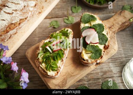 Plantes comestibles sauvages printanières - moutarde à l'ail et goutweed Leave, sur deux tranches de pain au levain Banque D'Images