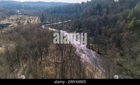 Photographie par drone de paysage rural, parc public et rivière pendant la journée ensoleillée du printemps Banque D'Images