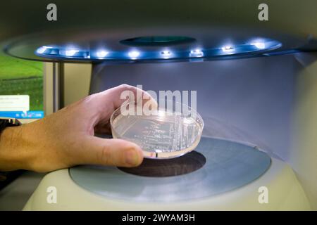 Compteur de colonies. Laboratoire biopharmaceutique, développement de nouvelles molécules thérapeutiques à base d'anticorps humains pour le traitement des maladies infectieuses et inflammatoires, Biotherapix, Grupo Genetrix, Madrid. Banque D'Images