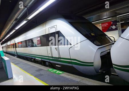 Train à grande vitesse. Station sans. Barcelone. Catalogne. Espagne. Banque D'Images