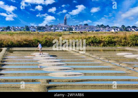 Le sel de mer, sel, Saline, Guerande, Loire-Atlantique, France. Banque D'Images