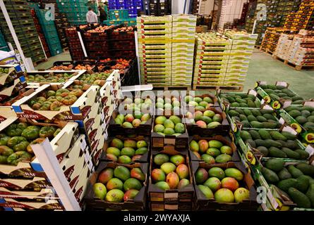 Fruits et légumes Mercabilbao, marché de gros de Basauri, Bilbao, Biscaye, Pays Basque, Espagne. Banque D'Images