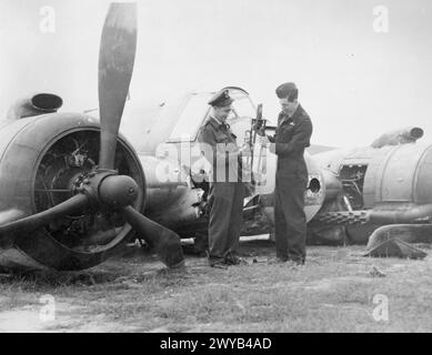 ROYAL AIR FORCE COASTAL COMMAND, 1939-1945. - Le Flying Officer Lee Turner RAAF (navigateur, à gauche) et le Flying Officer Steve Sykes RAAF (pilote, à droite) du No. 455 Squadron RAAF, inspectez le sommet d'un mât de chalutier armé qui est entré dans le nez de leur Bristol Beaufighter TF Mark X lors d'une attaque à basse altitude sur des navires ennemis dans le port de Marsdiep, Hollande, par les ailes combinées Langham et North Coates Strike Wings le 12 septembre 1944. Sykes ramène l'avion endommagé à Langham et effectue un atterrissage en écrasement réussi, au cours duquel Turner est légèrement blessé. , Royal Australian Air Force, Banque D'Images