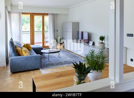 Salon, intérieur de la maison, décoration intérieure, Zumarraga, Gipuzkoa, pays Basque, Espagne, Europe. Banque D'Images