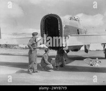 COMMANDEMENT DES BOMBARDIERS DE LA ROYAL AIR FORCE, 1942-1945. - De retour à leur base, East Wretham, Norfolk, deux membres de l'équipage de l'Avro Lancaster B Mark II, DS669 'Ko-l', du No. 115 Squadron RAF, examinent l'arrière de leur avion, où la tourelle arrière, avec son malheureux tireur, il a été cisaillé par des bombes larguées d'un avion volant au-dessus, lors d'un raid sur Cologne dans la nuit du 28/29 juin 1943. , Armée britannique, Royal Flying corps, réserve Sqdn, 7 Banque D'Images