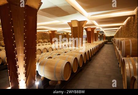 Cave à vin, Dinastia Vivanco Winery, Briones, la Rioja, Espagne, Europe. Banque D'Images