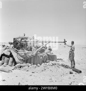 Les troupes néo-zélandaises capturent et détruisent un canon antichar allemand de 88 mm près d'El Alamein le 17 juillet 1942 lors de la campagne d'Afrique du Nord. Banque D'Images