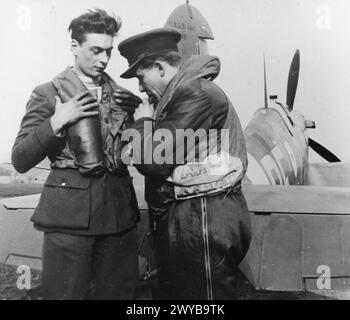 L'ARMÉE DE L'AIR POLONAISE EN GRANDE-BRETAGNE, 1940-1947 - le pilote Bolesław Drobiński est aidé avec son gilet de sauvetage par l'officier Wiktor Strzembosz, tous deux du 303e Escadron polonais de chasse, avec le Spitfire IIA, « RF-P » en arrière-plan. Photographie prise à la RAF Northolt, 1941. , Armée de l'air polonaise, Armée de l'air polonaise, 303e escadron de chasse 'Kościuszko', Bolesław, Drobiński Henryk, Strzembosz, Wiktor Stanisław Banque D'Images