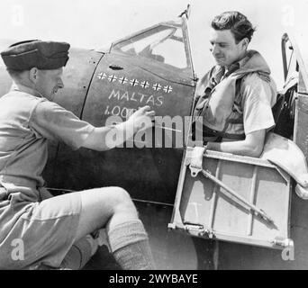 Le chef d'escadron J Lynch du 249e escadron RAF est assis dans un Supermarine Spitfire Mark VC à Krendi, Malte, marquant le millième avion ennemi de Malte détruit lors d'opérations à travers la Méditerranée de 1939 à 1945. Banque D'Images