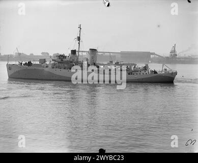 Le HMS Wallflower, une corvette britannique de classe Flower, est photographié le 4 juin 1942 en service dans la Royal Navy. Banque D'Images
