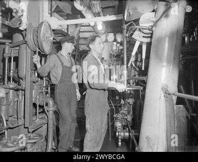 LES HOMMES DE LA CORVETTE BRITANNIQUE, HMS VERVAIN, EN SERVICE ACTIF. 9-10 JUILLET 1942. - Dans la salle des machines. , Banque D'Images