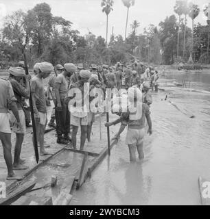 LA CAMPAGNE EN BIRMANIE, AVRIL 1945 - des ingénieurs indiens construisent un pont en bois sur un ruisseau peu profond ou «chaung» pendant l'avance vers Rangoon. , Armée britannique Banque D'Images