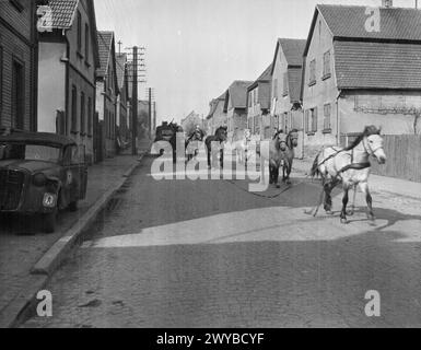 L'INVASION ALLIÉE DE L'ALLEMAGNE, MARS-MAI 1945 - des chevaux paniqués, toujours dans leur harnais, courant dans une rue dans l'une des villes près de la ville de Worms avant l'avancée des demi-camions M3 de la 4e division blindée américaine, le 20 mars 1945. , US Army Banque D'Images