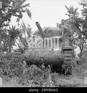 L'ARMÉE BRITANNIQUE EN ITALIE 1944 - un canon automoteur italien Semovente capturé par les troupes de la 78e division d'infanterie, dont l'insigne de hache de bataille a été peint sur la plaque avant, 19 mai 1944. , Banque D'Images