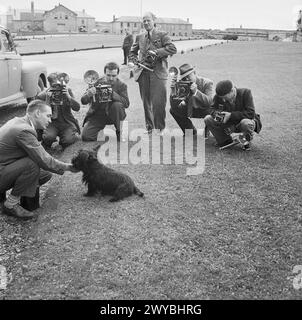 CONFÉRENCE DE QUÉBEC, AOÛT 1943 - le chien de compagnie du président Roosevelt, Falla, pose pour une batterie de photographes de presse en attendant les nouvelles des délibérations de la Conférence de Québec, le 18 août 1943. Ils sont à leur tour photographiés par le photographe officiel du War Office. , Roosevelt, Franklin Delano Banque D'Images