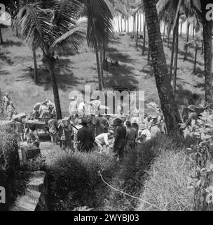 Après la reddition des forces japonaises, les troupes japonaises collectent des armes et des munitions pour les remettre aux forces britanniques dans les îles Andaman, en 1945. Banque D'Images