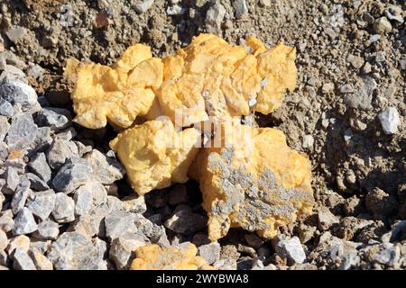 Morceaux de mousse de polyuréthane usagée ou matériau spécialisé en mousse pu utilisés pour l'isolation thermique basée sur la chimie du polyuréthane laissés sur le gravier Banque D'Images