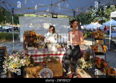 Marché aux fleurs animé sur la Plaza Ferdinand VII, avec des habitants appréciant l'ambiance automnale, le 8 novembre 2023. Banque D'Images