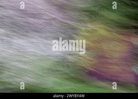 Flou naturel abstrait à l'aide d'un mouvement intentionnel de la caméra Banque D'Images