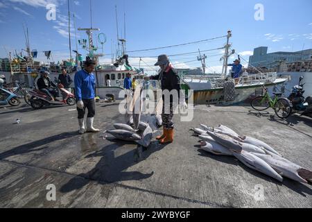 Pêcheurs dans un port téléchargeant du poisson congelé d'un bateau par une journée ensoleillée avec des bateaux de pêche en arrière-plan Banque D'Images