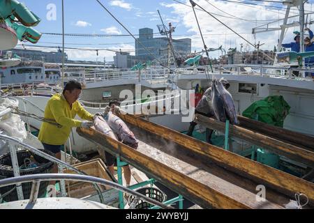 Pêcheurs dans un port téléchargeant du poisson congelé d'un bateau par une journée ensoleillée avec des bateaux de pêche en arrière-plan Banque D'Images