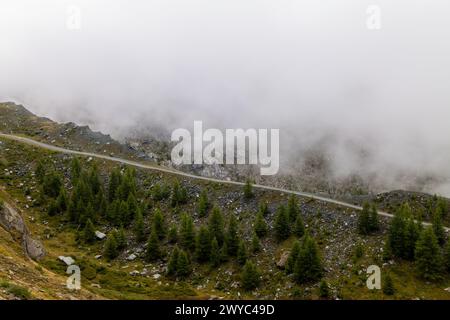 Un sentier de montagne brumeux serpente à travers les arbres Banque D'Images