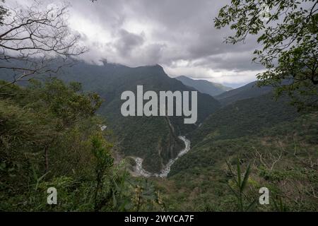 Chemin forestier isolé entouré de fougères surplombantes et la sérénité de la nature intacte Banque D'Images