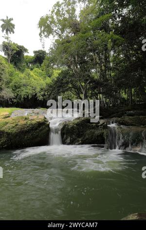 139 les bains de la rivière Baños del Rio San Juan-San Juan, série de piscines naturelles d'eau douce parmi de petites cascades, populaires pour la baignade. Las Terrazas-Cuba. Banque D'Images