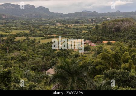 149 paysage karstique avec un affleurement calcaire en forme de dôme -mogote dos Hermanas- dans la vallée de la Valle de Viñales, classée au patrimoine mondial de l'UNESCO. Pinar del Rio-Cuba. Banque D'Images