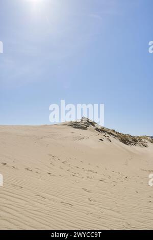 Dunes lituaniennes herbe de sable et ciel dégagé Banque D'Images