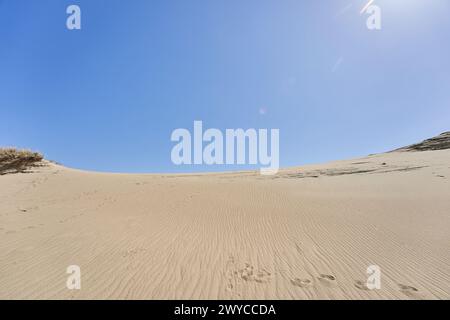 Dunes lituaniennes herbe de sable et ciel dégagé Banque D'Images