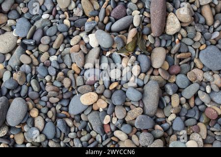 Plage rocheuse Banque D'Images