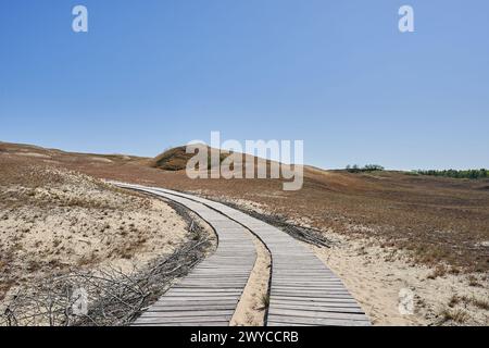 Dunes lituaniennes herbe de sable et ciel dégagé Banque D'Images