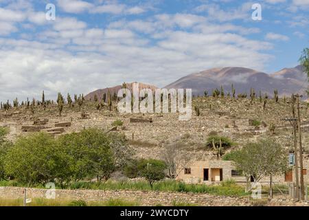 Ruines de Pucara de Tilcara à Jujuy, Argentine. Banque D'Images