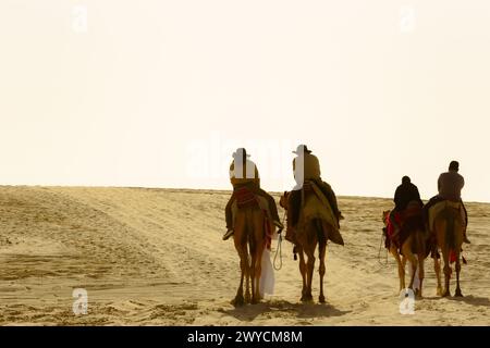 Chameaux sur le sable, lieu touristique populaire, désert de la mer intérieure, Doha Qatar Banque D'Images