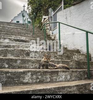 Santuário Diocesano Nossa Senhora. Vieille église au sommet du Monte Serrat. Santos, Brésil. 3 avril 2024. Banque D'Images