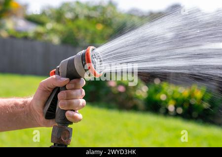 Tuyau d'arrosage avec buse réglable. Main de l'homme tenant pistolet de pulvérisation et arrosant les plantes, pulvérisant de l'eau sur l'herbe dans la cour arrière. Banque D'Images