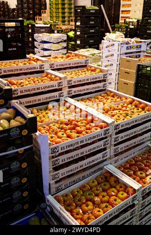 Les tomates, les fruits et légumes Mercabilbao, marché de gros de Basauri, Bilbao, Biscaye, Pays Basque, Espagne. Banque D'Images