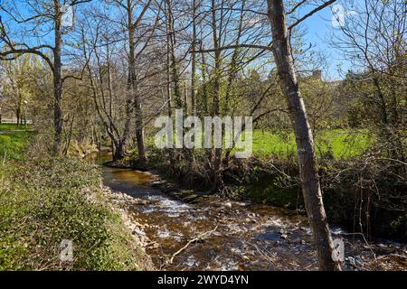 Rivière Oria, Segura, Gipuzkoa, pays Basque, Espagne. Banque D'Images