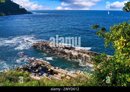 Acantilados de la Isla Santa Clara, Situada en la Bahia de la Concha forma parte de la Costa Vasca y esta bañada por las aguas del Mar Cantábrico, Donostia, Saint-Sébastien, pays Basque, Espagne, Europe. Banque D'Images