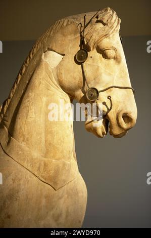 Des fragments de chevaux de la colossale de quadriga le mausolée d'Halicarnasse. Le British Museum, Londres. L'Angleterre. UK. Banque D'Images