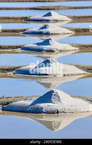 Le sel de mer, sel, Saline, Guerande, Loire-Atlantique, France. Banque D'Images