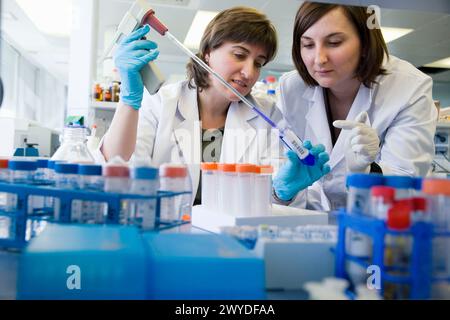 Coloration de substances, laboratoire biopharmaceutique, développement de nouvelles molécules thérapeutiques à base d'anticorps humains pour le traitement des maladies infectieuses et inflammatoires, Biotherapix, Grupo Genetrix, Madrid. Banque D'Images