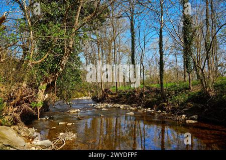 Rivière Oria, Segura, Gipuzkoa, pays Basque, Espagne. Banque D'Images