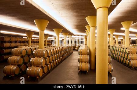 Cave à vin, Dinastia Vivanco Winery, Briones, la Rioja, Espagne, Europe. Banque D'Images