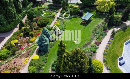 Incroyable point de vue de drone sur le jardin botanique de Wroclaw avec parterres de fleurs et pavillon : fleurs de rhododenron rouge et sapins Coloroda (spruc blanc Banque D'Images